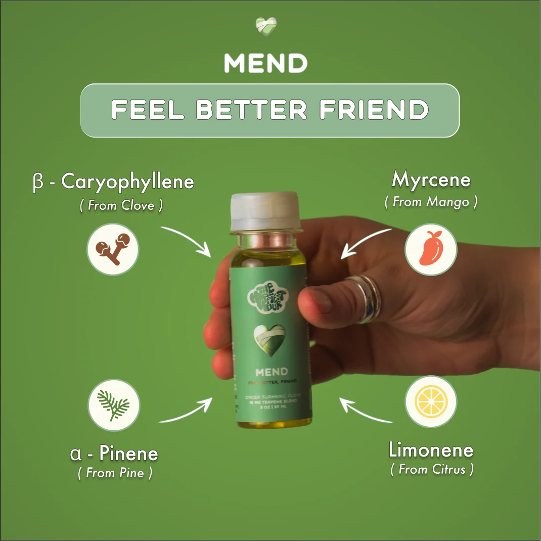 MEND - Image 3