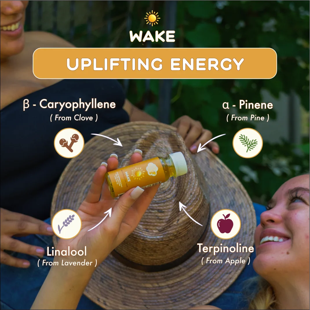 WAKE - 5 Pack - Image 4