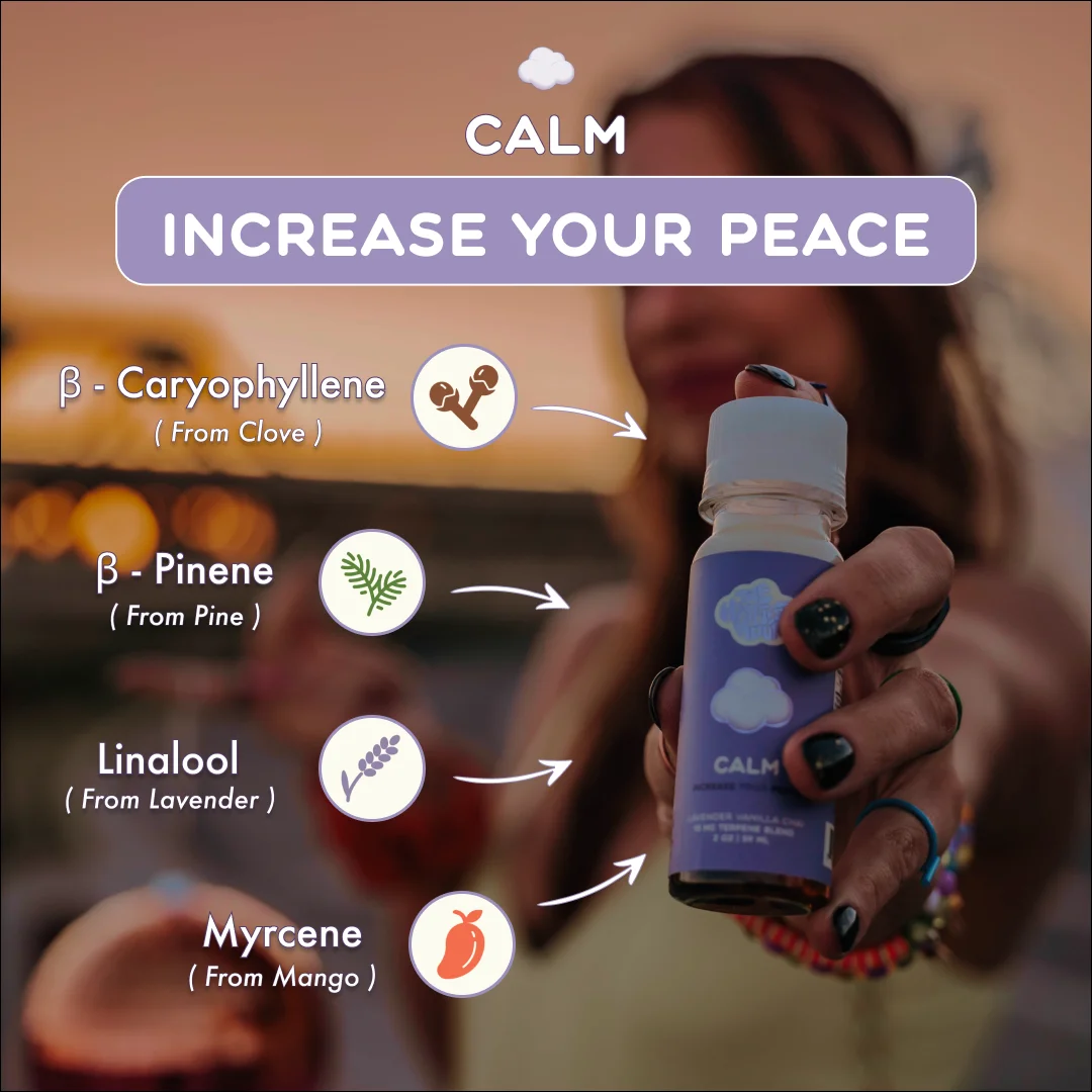 CALM - Image 3